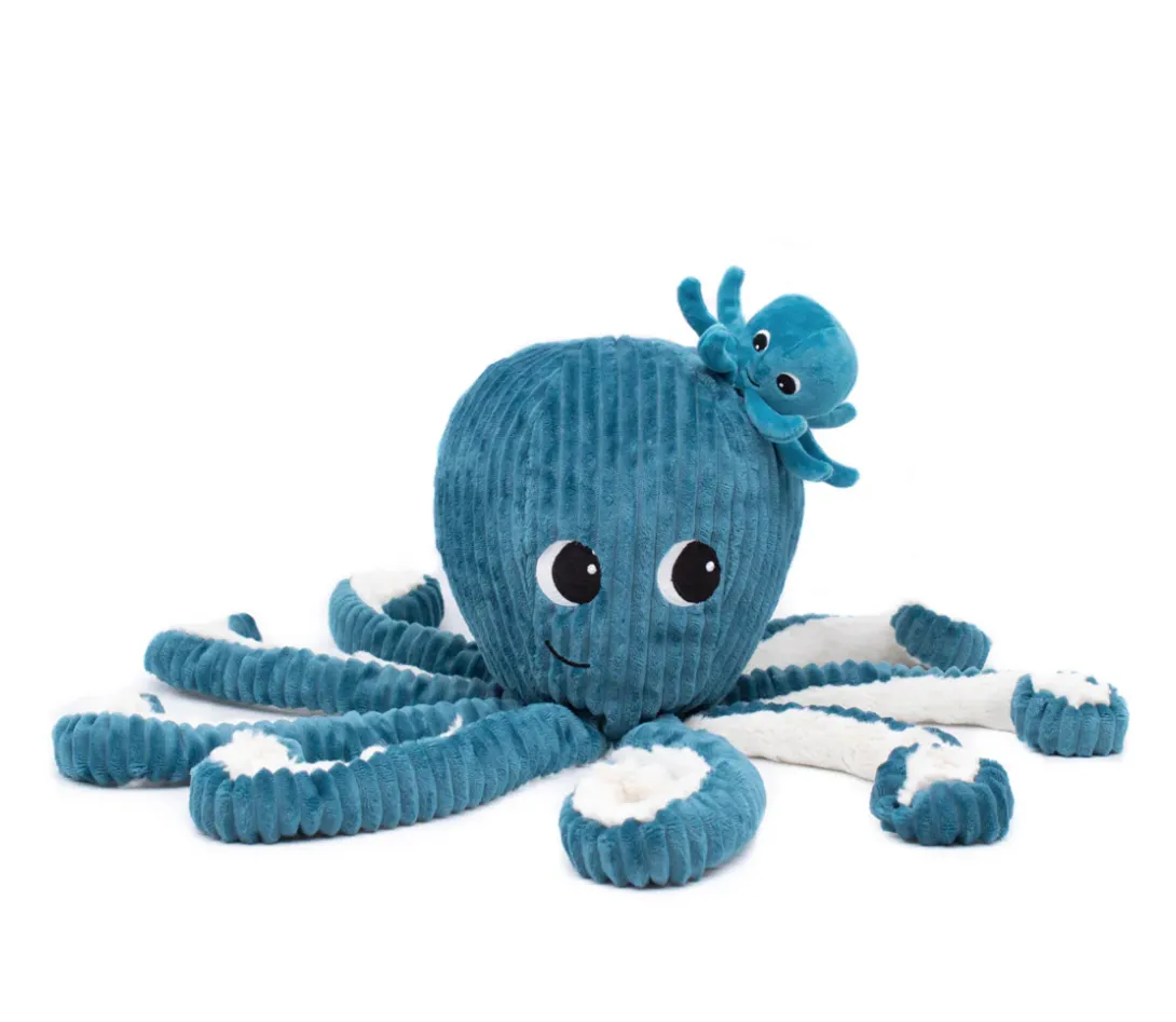 Octopus with baby