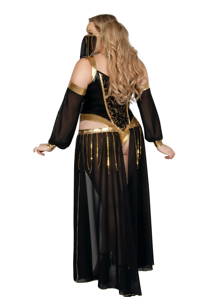 Plus Size Dark Harem Nights Costume
